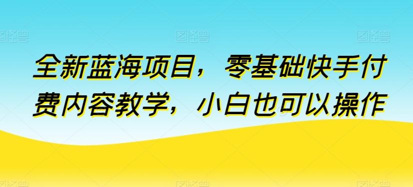 全新蓝海项目，零基础快手付费内容教学，小白也可以操作【揭秘】-冒泡网