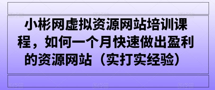 小彬网虚拟资源网站培训课程，如何一个月快速做出盈利的资源网站(实打实经验)-冒泡网