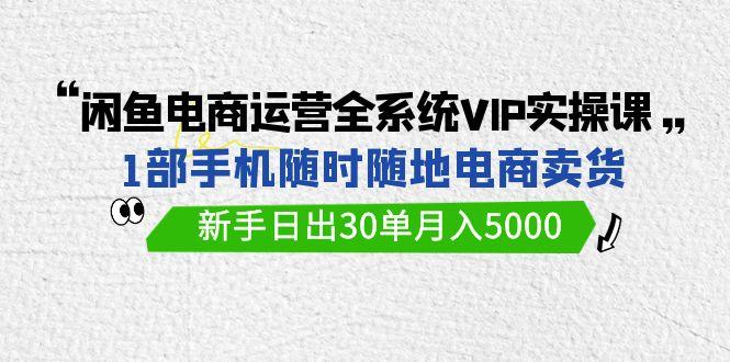 (9547期)闲鱼电商运营全系统VIP实战课，1部手机随时随地卖货，新手日出30单月入5000-冒泡网