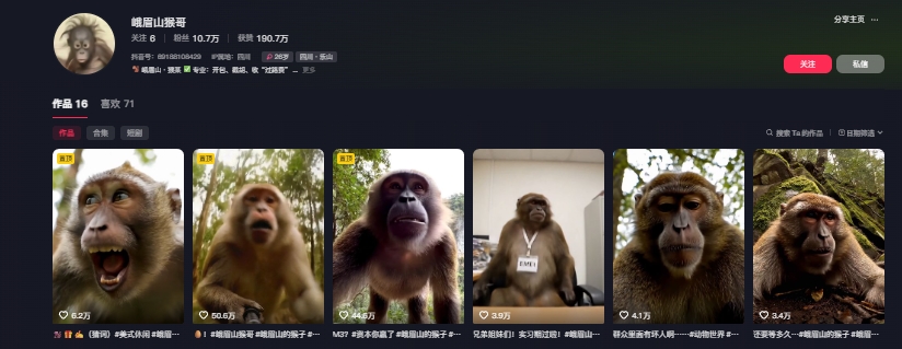 最新爆火的峨眉山猴子短视频制作教程，条条点赞10w+，谁做谁火【教程+提示词】