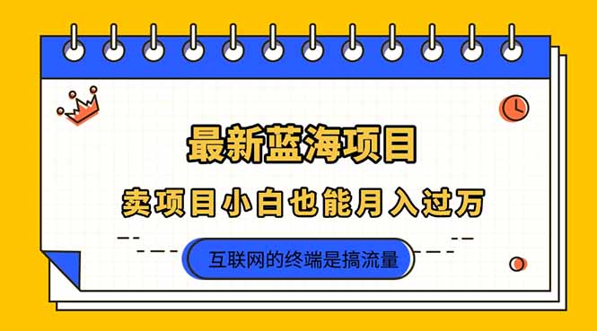 2025年最新蓝海项目，卖项目小白也能月入过万-冒泡网
