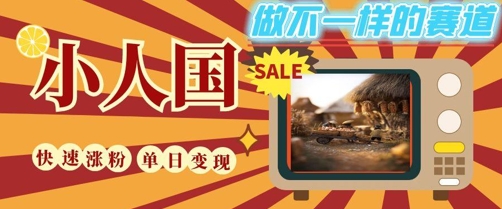 DeepSeek+绘图+视频制作小人国微观视频，小白轻轻松松上手，条条爆款，条条变现，单日就能收益-冒泡网