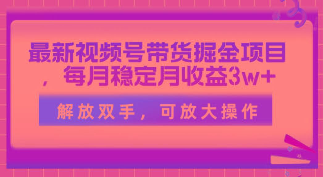 最新视频号带货掘金项目，每月稳定月收益3w+，解放双手，可放大操作-冒泡网