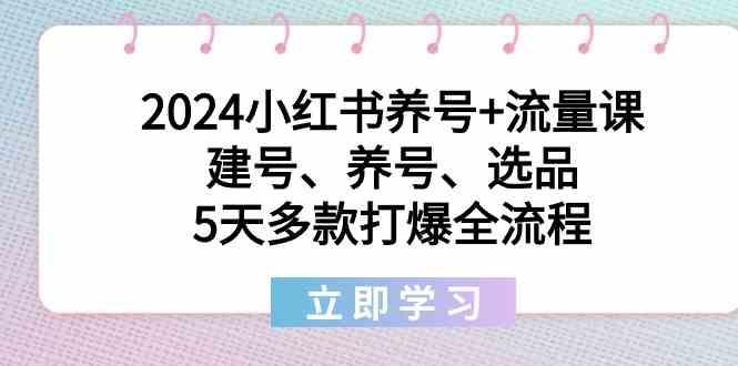 2024小红书养号+流量课：建号、养号、选品，5天多款打爆全流程-冒泡网