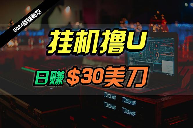 (10013期)日赚30美刀，2024最新海外挂机撸U内部项目，全程无人值守，可批量放大-冒泡网