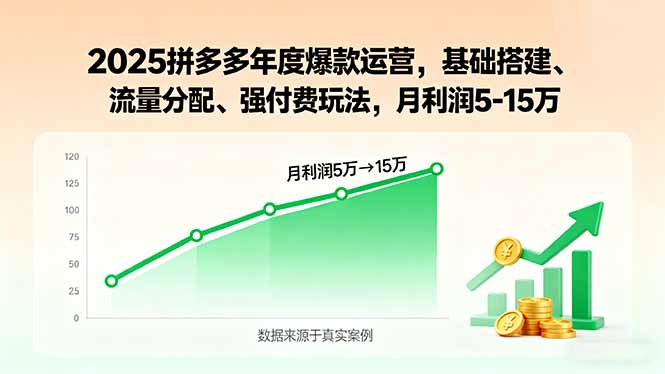 2025拼多多年度爆款运营，基础搭建、流量分配、强付费玩法，月利润5-15万-冒泡网