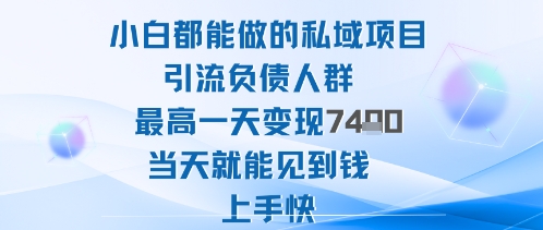 2025年小白都能做的私域项目引流负债人群最高一天变现1k+高变现难度低当天就能见到钱上手快-冒泡网