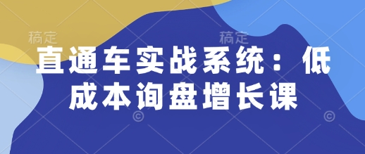 直通车实战系统：低成本询盘增长课，让个人通过技能实现升职加薪，让企业低成本获客，订单源源不断-冒泡网