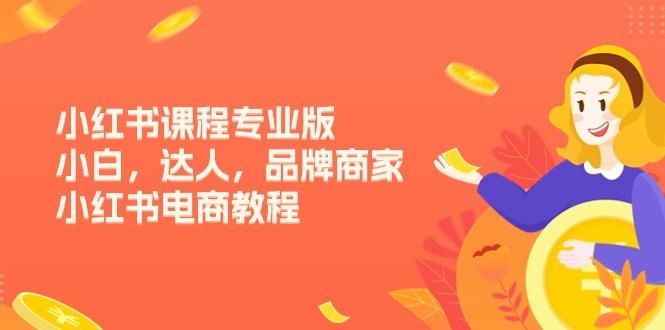小红书课程专业版，小白，达人，品牌商家，小红书电商教程(15节-冒泡网