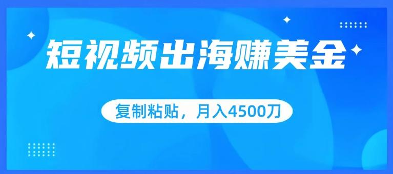 短视频出海赚美金，复制粘贴批量操作，小白轻松掌握，月入4500美刀【揭秘】-冒泡网