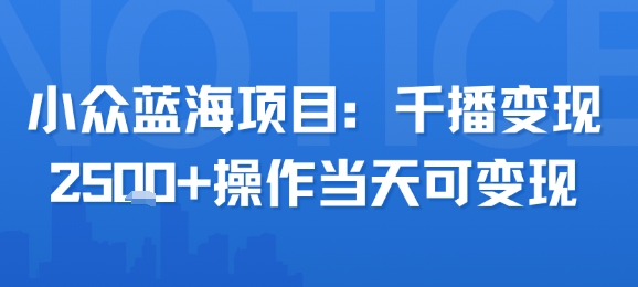 小众蓝海项目，千播变现2.5k+操作当天可变现-冒泡网