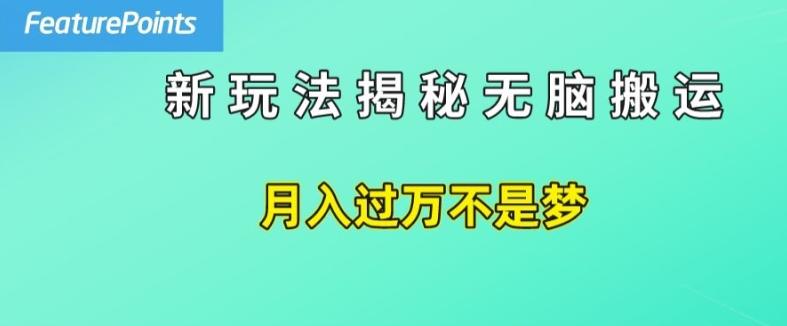 简单操作，每天50美元收入，搬运就是赚钱的秘诀【揭秘】-冒泡网