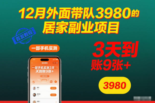 12月外面带队3980的居家副业项目,一部手机实测3天到账9张+,首发教程【揭秘】-冒泡网