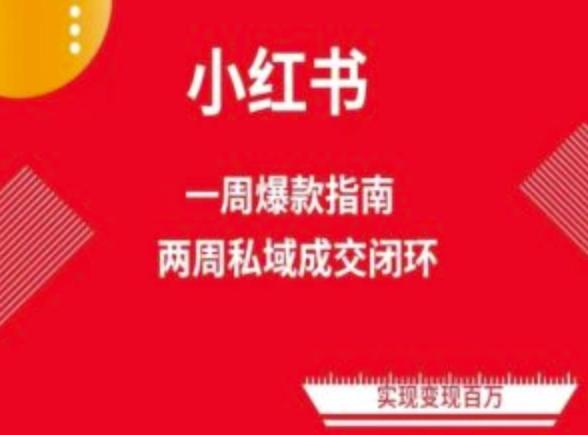 爆款小红书免费流量体系课程(两周变现)，小红书电商教程-冒泡网