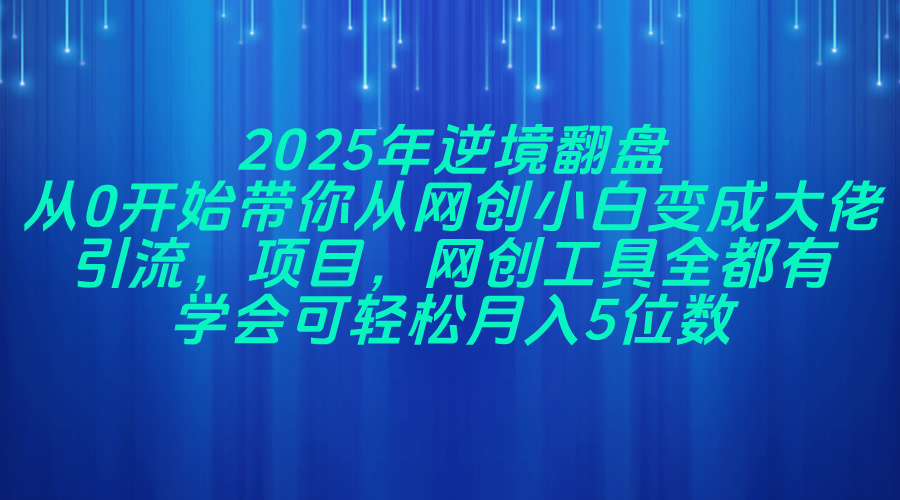 2025年逆境翻盘，从0开始带你从网创小白变成大佬，引流，项目，网创工…-冒泡网