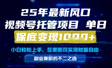 25年最新风口，视频号托管项目，单日保底变现1k+，手把手教学【揭秘】-冒泡网