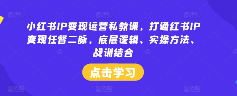 小红书IP变现运营私教课，打通红书IP变现任督二脉，底层逻辑、实操方法、战训结合-冒泡网