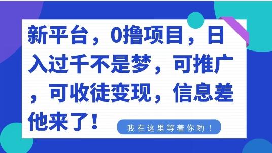 不要再花冤枉钱了，0撸项目，每天坚持，稳定1000+-冒泡网