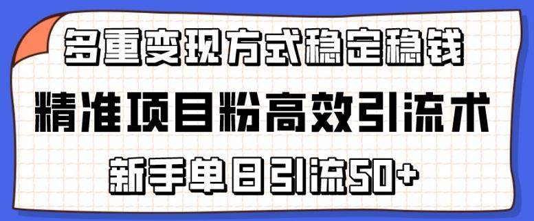 精准项目粉高效引流术，新手单日引流50+，多重变现方式稳定赚钱【揭秘】-冒泡网