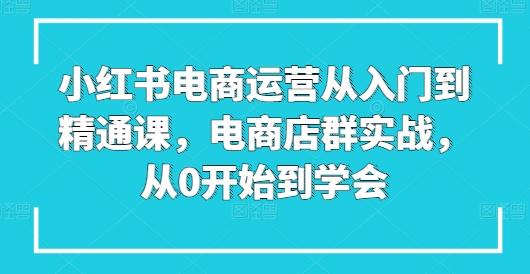 小红书电商运营从入门到精通课，电商店群实战，从0开始到学会-冒泡网