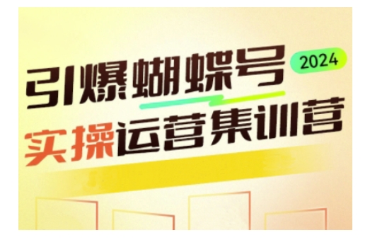 引爆蝴蝶号实操运营，助力你深度掌握蝴蝶号运营，实现高效实操，开启流量变现之路-冒泡网
