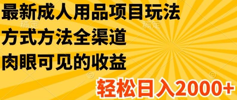 最新成人用品项目玩法，方式方法全渠道，轻松日入2K+【揭秘】-冒泡网