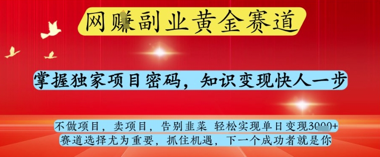 网创副业黄全赛道，掌握独家项目密码，知识变现快人一步，告别韭菜轻松实现单日变现1k+【揭秘】-冒泡网