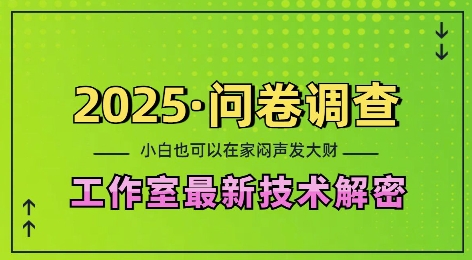 2025问卷调查最新工作室技术解密：一个人在家也可以闷声发大财，小白一天2张，可矩阵放大【揭秘】-冒泡网