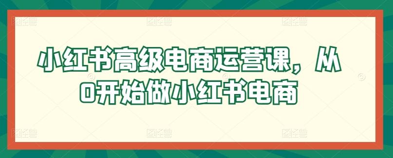 小红书高级电商运营课，从0开始做小红书电商-冒泡网