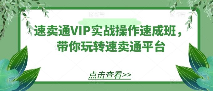 速卖通VIP实战操作速成班，带你玩转速卖通平台-冒泡网