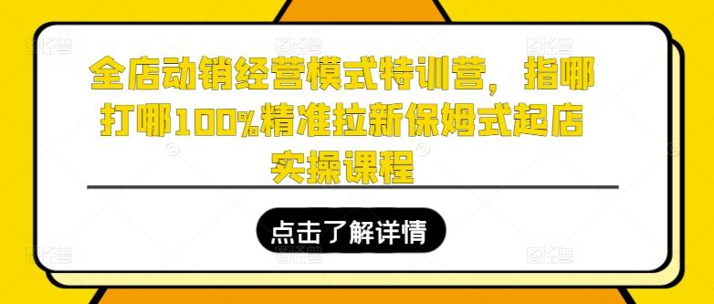 全店动销经营模式特训营，指哪打哪100%精准拉新保姆式起店实操课程-冒泡网