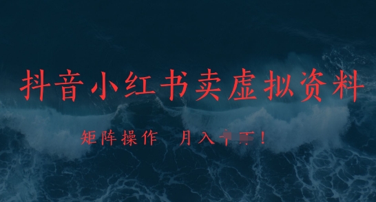 抖音小红书卖虚拟资料，市场需求一直存在，矩阵操作，月入1w+-冒泡网