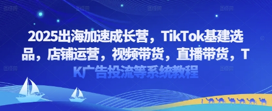 2025出海加速成长营，TikTok基建选品，店铺运营，视频带货，直播带货，TK广告投流等系统教程-冒泡网