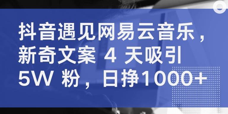 抖音遇见网易云音乐，新奇文案 4 天吸引 5W 粉，日挣1000+【揭秘】-冒泡网