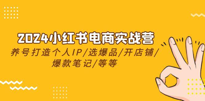 2024小红书电商实战营，养号打造IP/选爆品/开店铺/爆款笔记/等等(24节)-冒泡网
