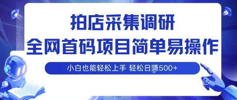 拍店采集调研，全网首码项目，简单易操作， 小白也能轻松上手，多账号操作，轻松日入5张【揭秘】-冒泡网