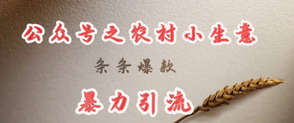 deepseek写农村小项目，条条爆款，暴力引流-冒泡网
