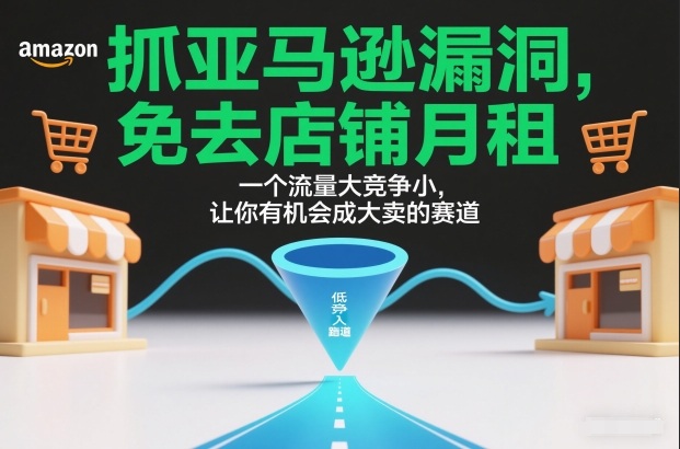 抓亚马逊漏洞，免去店铺月租，一个流量大竞争小，让你有机会成大卖的赛道-冒泡网