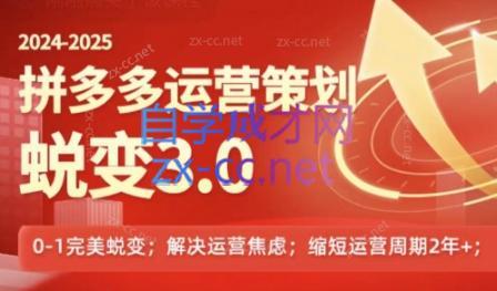 大力老师·2024拼多多运营策略蜕变3.0-冒泡网