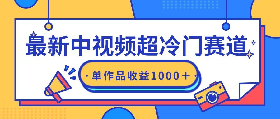 (9275期)最新中视频超冷门赛道，轻松过原创，单条视频收益1000＋-冒泡网