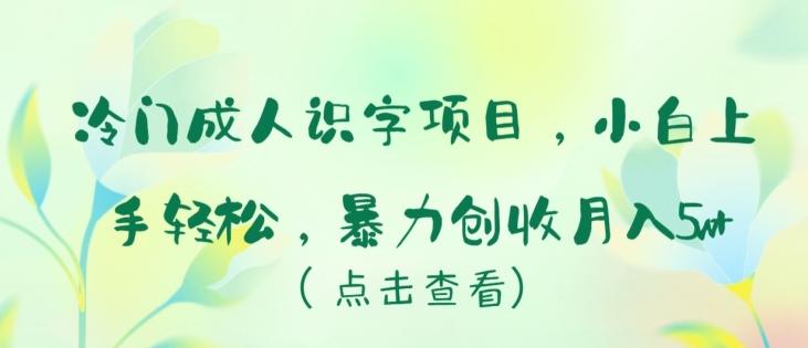 冷门成人识字项目，小白上手轻松，暴力创收月入5w+【揭秘】-冒泡网