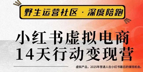 小红书虚拟电商14天变现训练营3.0，​虚拟产品，2025年普通人在小红书最后的搞钱机会-冒泡网