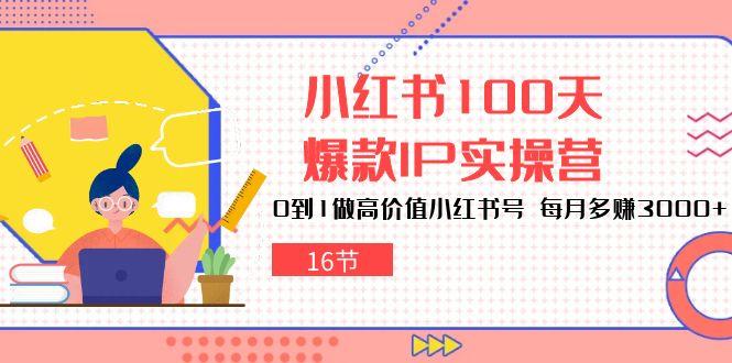 小红书100天-爆款IP实操营，0到1做高价值小红书号 每月多赚3000+(16节-冒泡网
