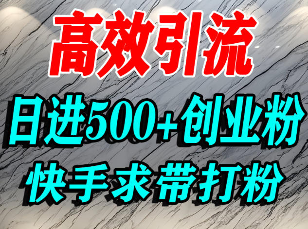 怎么打创业粉？快手求带视角精准引流创业粉，宝妈、学生群体日进500+精准流量-冒泡网