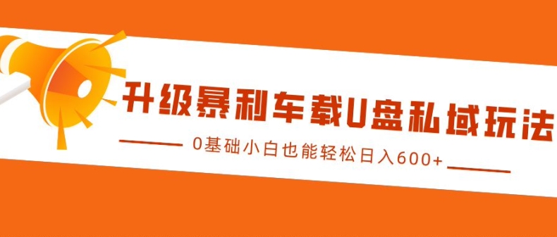 升级暴利车载U盘私域玩法，0基础小白也能轻松日入多张【揭秘】-冒泡网