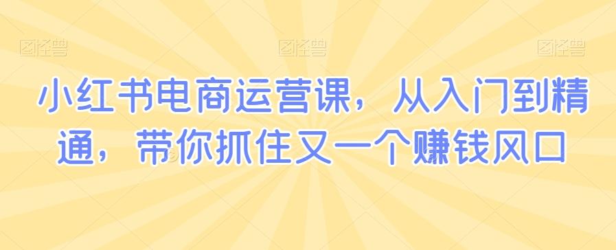 小红书电商运营课，从入门到精通，带你抓住又一个赚钱风口-冒泡网