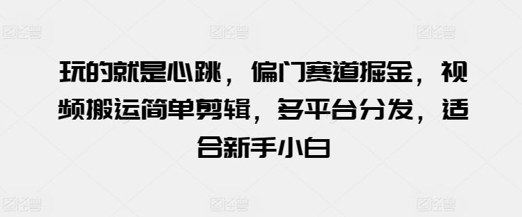 玩的就是心跳，偏门赛道掘金，视频搬运简单剪辑，多平台分发，适合新手小白【揭秘】-冒泡网