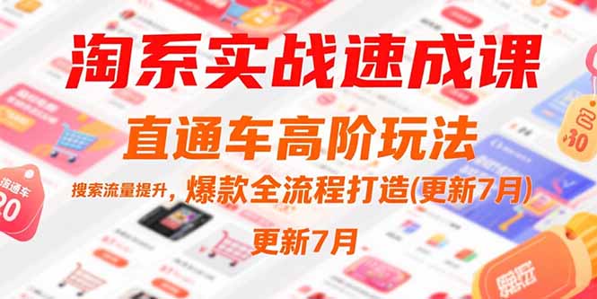 淘系实战速成课，直通车高阶玩法，搜索流量提升，爆款全流程打造(更新7月-冒泡网
