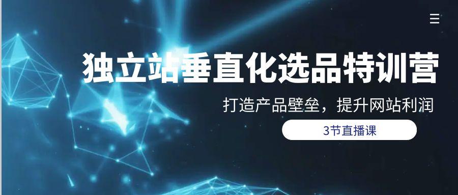 (9925期)独立站-垂直化选品训练营，打造产品壁垒，提升网站利润(3节直播课)-冒泡网