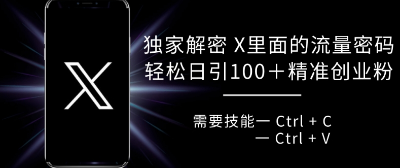 独家解密 X 里面的流量密码，复制粘贴轻松日引100+-冒泡网